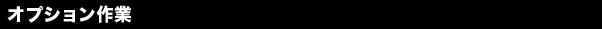 サイレンサーオプション作業